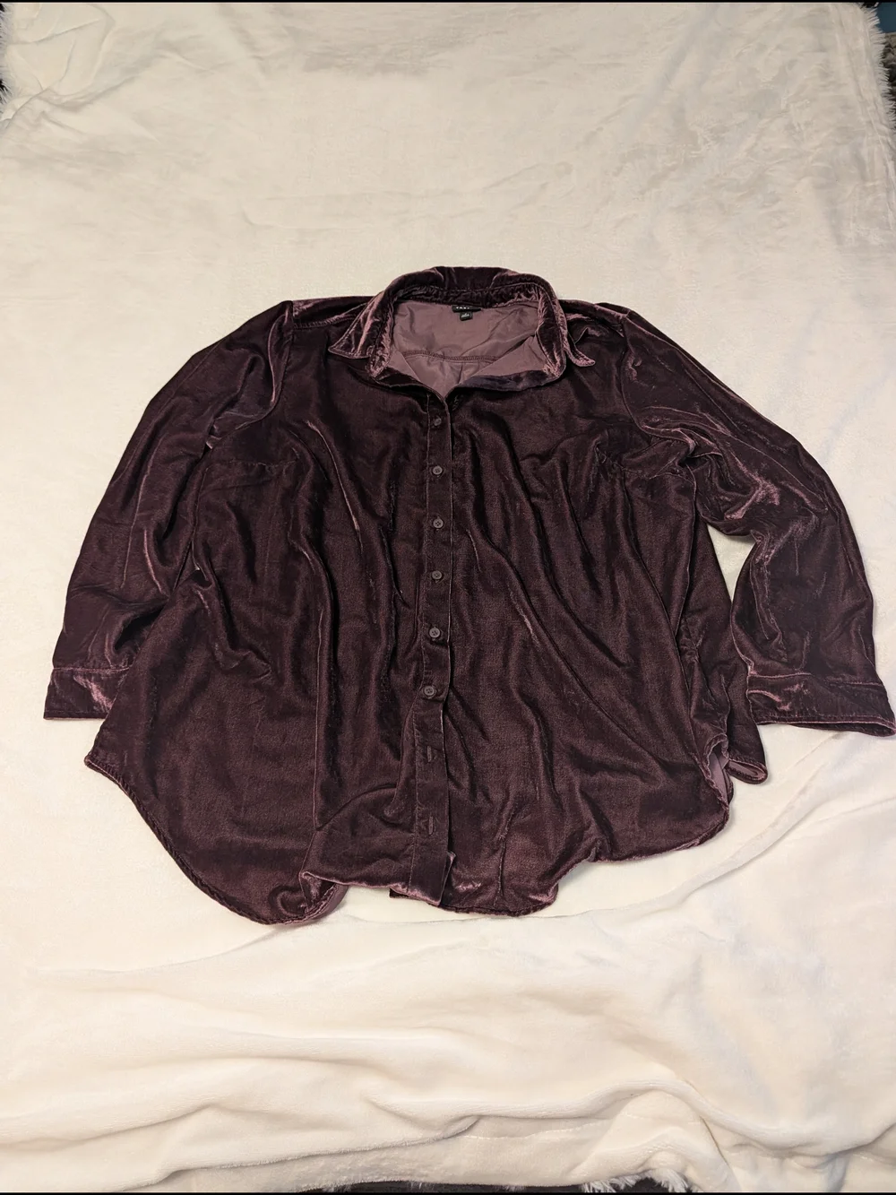 torrid Plush Velvet Collared Top in Plum - Picture 1 of 3